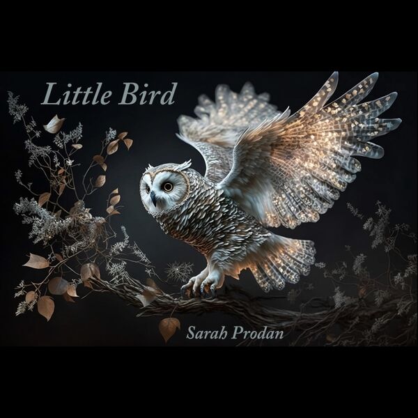 Cover art for Little Bird